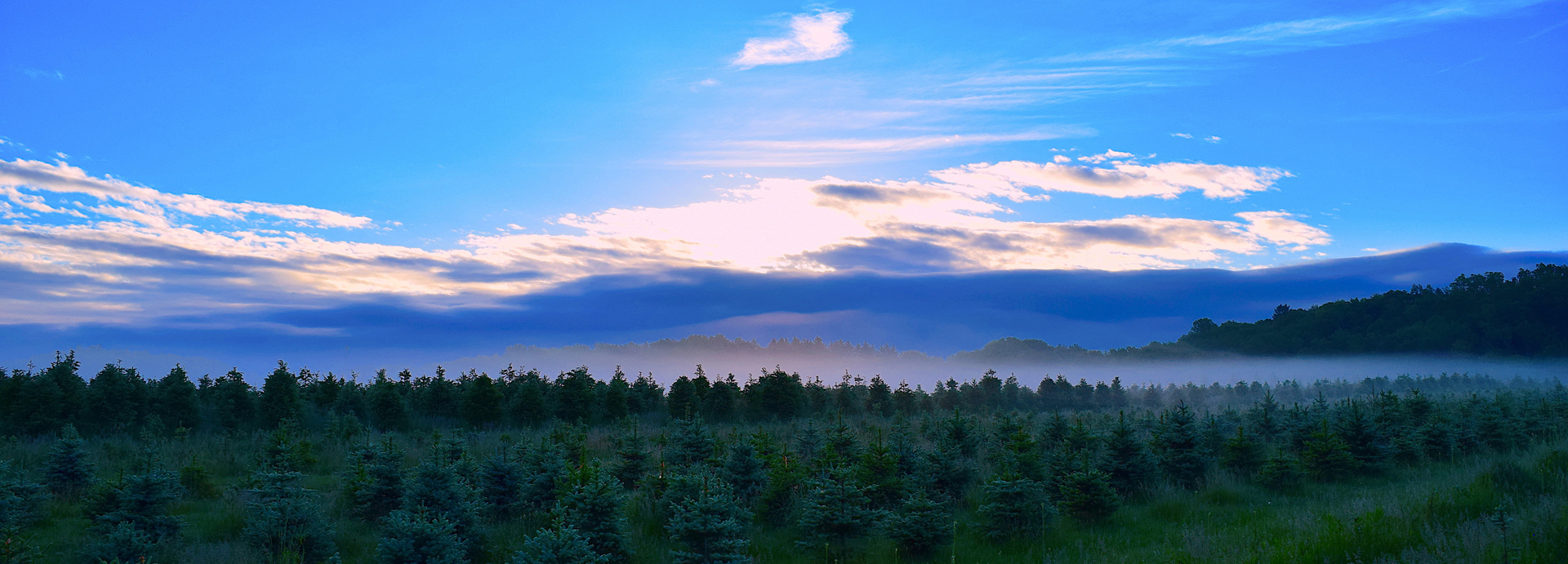 Suichuan Haizhou Resin Co., Ltd.